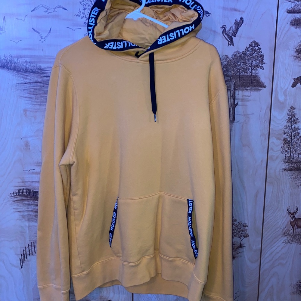 Hollister Sweater (worn once)